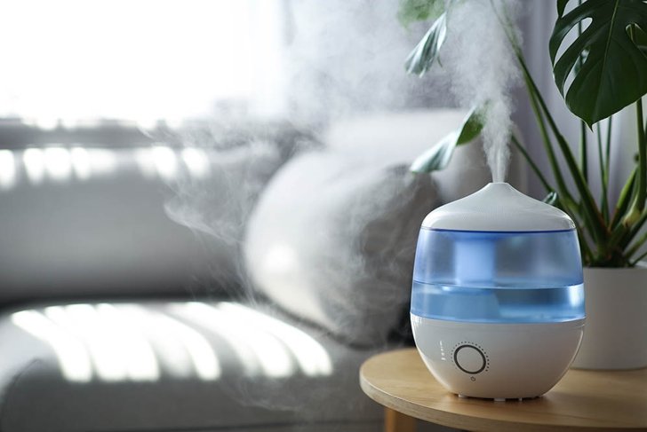 Modern air humidifier and houseplant on table in living room. Space for text