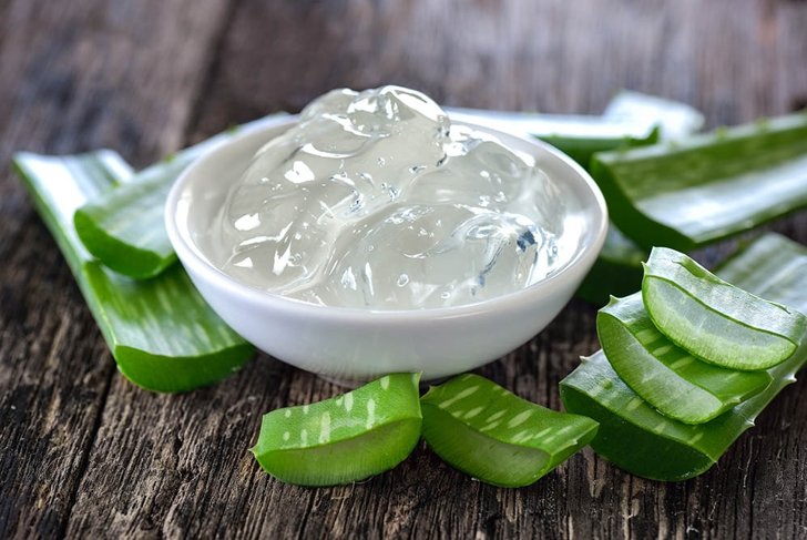 aloe vera